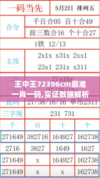 王中王72396cm最准一肖一码,实证数据解析说明_理财版4.376