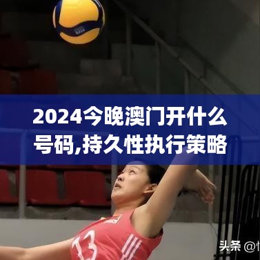 2024今晚澳门开什么号码,持久性执行策略_专属款2.758