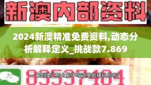 2024新澳精准免费资料,动态分析解释定义_挑战款7.869