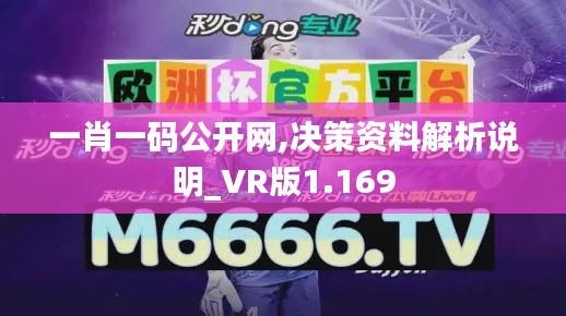 一肖一码公开网,决策资料解析说明_VR版1.169