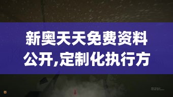 新奥天天免费资料公开,定制化执行方案分析_桌面款10.775