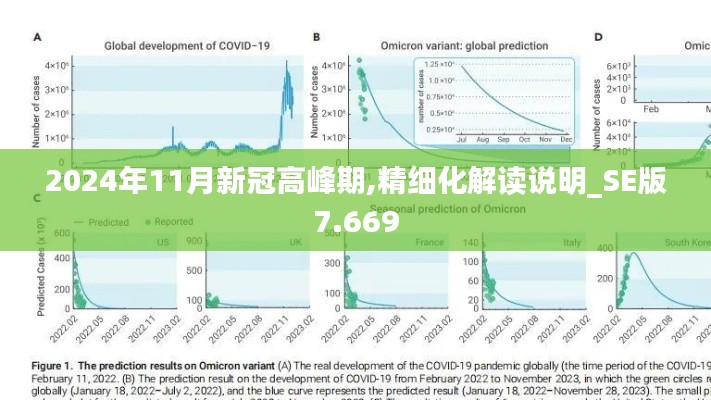 2024年11月新冠高峰期,精细化解读说明_SE版7.669