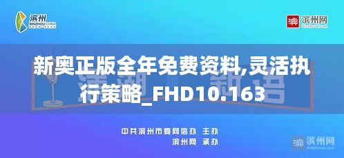 新奥正版全年免费资料,灵活执行策略_FHD10.163