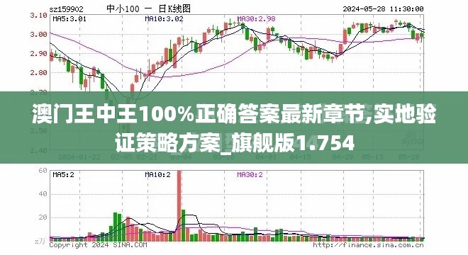 澳门王中王100%正确答案最新章节,实地验证策略方案_旗舰版1.754