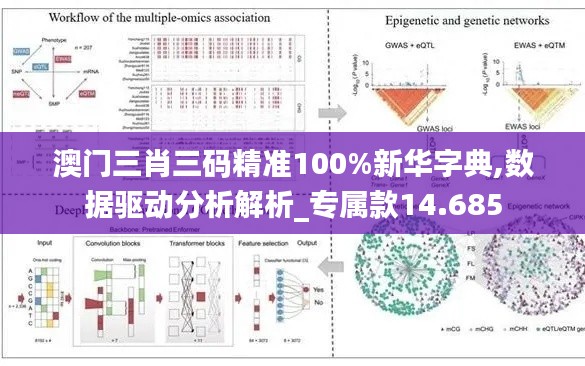 澳门三肖三码精准100%新华字典,数据驱动分析解析_专属款14.685