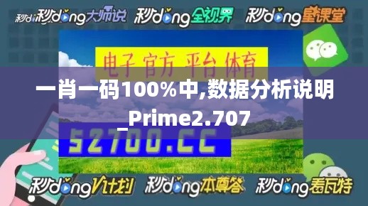 一肖一码100%中,数据分析说明_Prime2.707