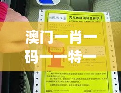 澳门一肖一码一一特一中厂i,精细执行计划_标准版4.255