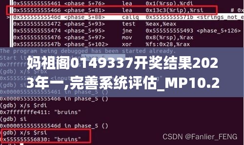 妈祖阁0149337开奖结果2023年一,完善系统评估_MP10.232