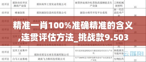 精准一肖100%准确精准的含义,连贯评估方法_挑战款9.503