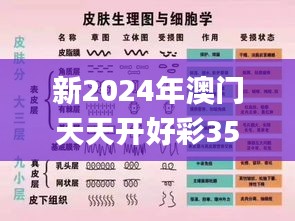 新2024年澳门天天开好彩351期,前沿评估说明_YE版5.229