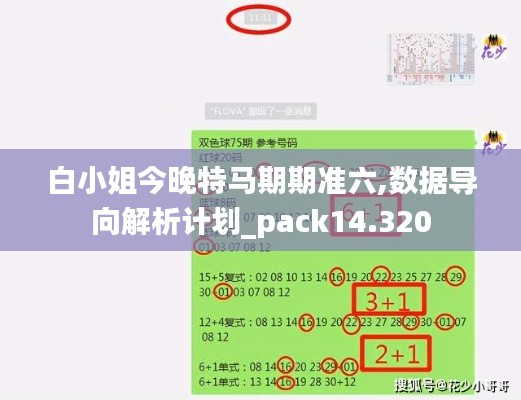 白小姐今晚特马期期准六,数据导向解析计划_pack14.320