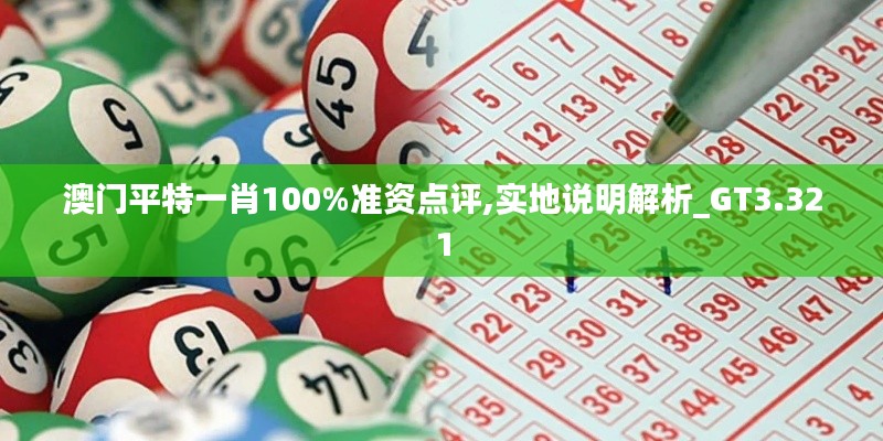 澳门平特一肖100%准资点评,实地说明解析_GT3.321