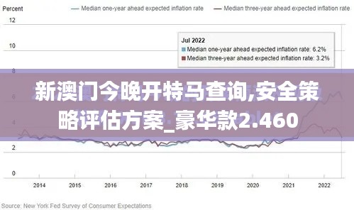 新澳门今晚开特马查询,安全策略评估方案_豪华款2.460