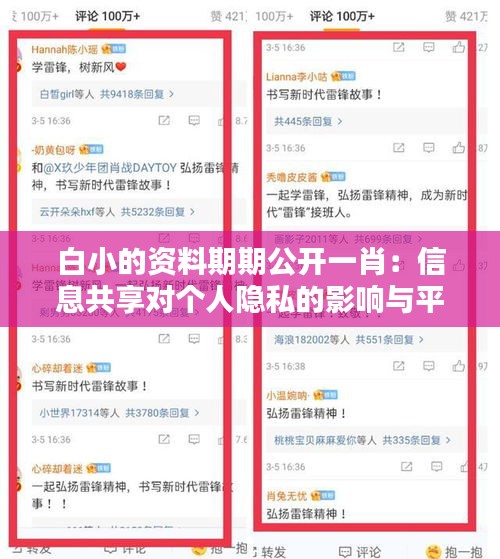 白小的资料期期公开一肖：信息共享对个人隐私的影响与平衡