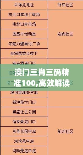 澳门三肖三码精准100,高效解读说明_战斗版6.826