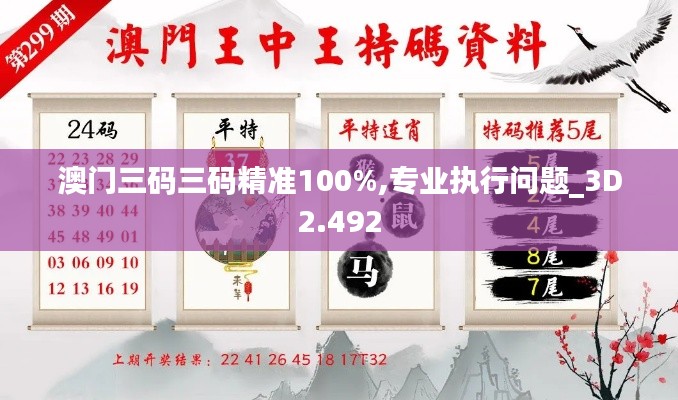 澳门三码三码精准100%,专业执行问题_3D2.492