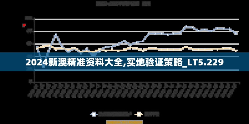 2024新澳精准资料大全,实地验证策略_LT5.229