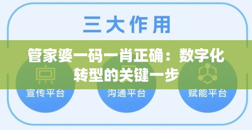 管家婆一码一肖正确：数字化转型的关键一步