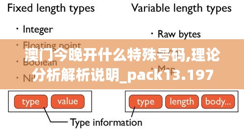 澳门今晚开什么特殊号码,理论分析解析说明_pack13.197