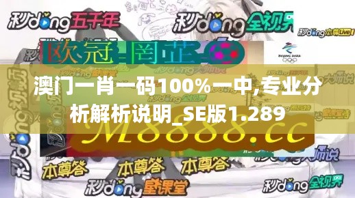 澳门一肖一码100%一中,专业分析解析说明_SE版1.289