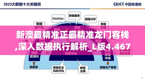 新澳最精准正最精准龙门客栈,深入数据执行解析_L版4.467