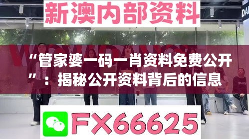 “管家婆一码一肖资料免费公开”：揭秘公开资料背后的信息价值与决策支持