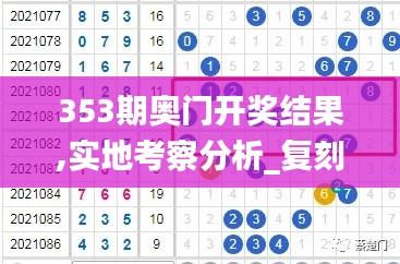 353期奥门开奖结果,实地考察分析_复刻版16.730