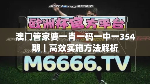 澳门管家婆一肖一码一中一354期｜高效实施方法解析